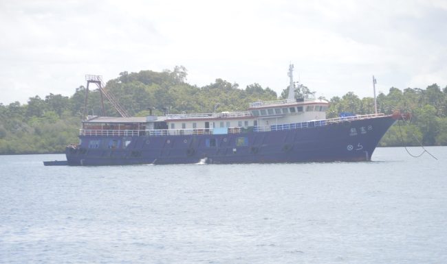 Crown Fame 8 anchoring inside the Gizo habour
