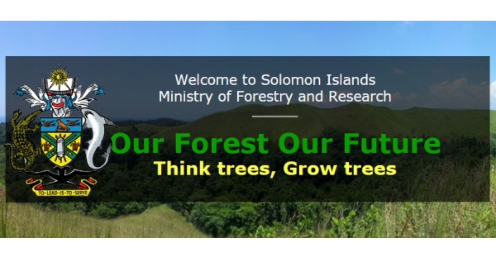 Forestry dismisses alleged collusion