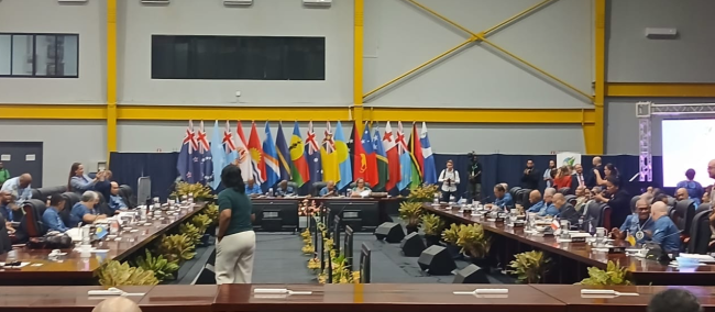 Plenary meeting