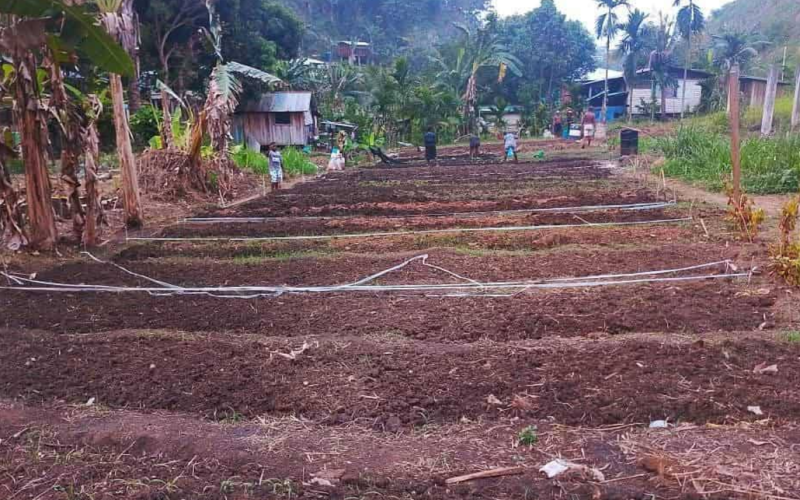 Australia’s small grant empowers Malaita youths