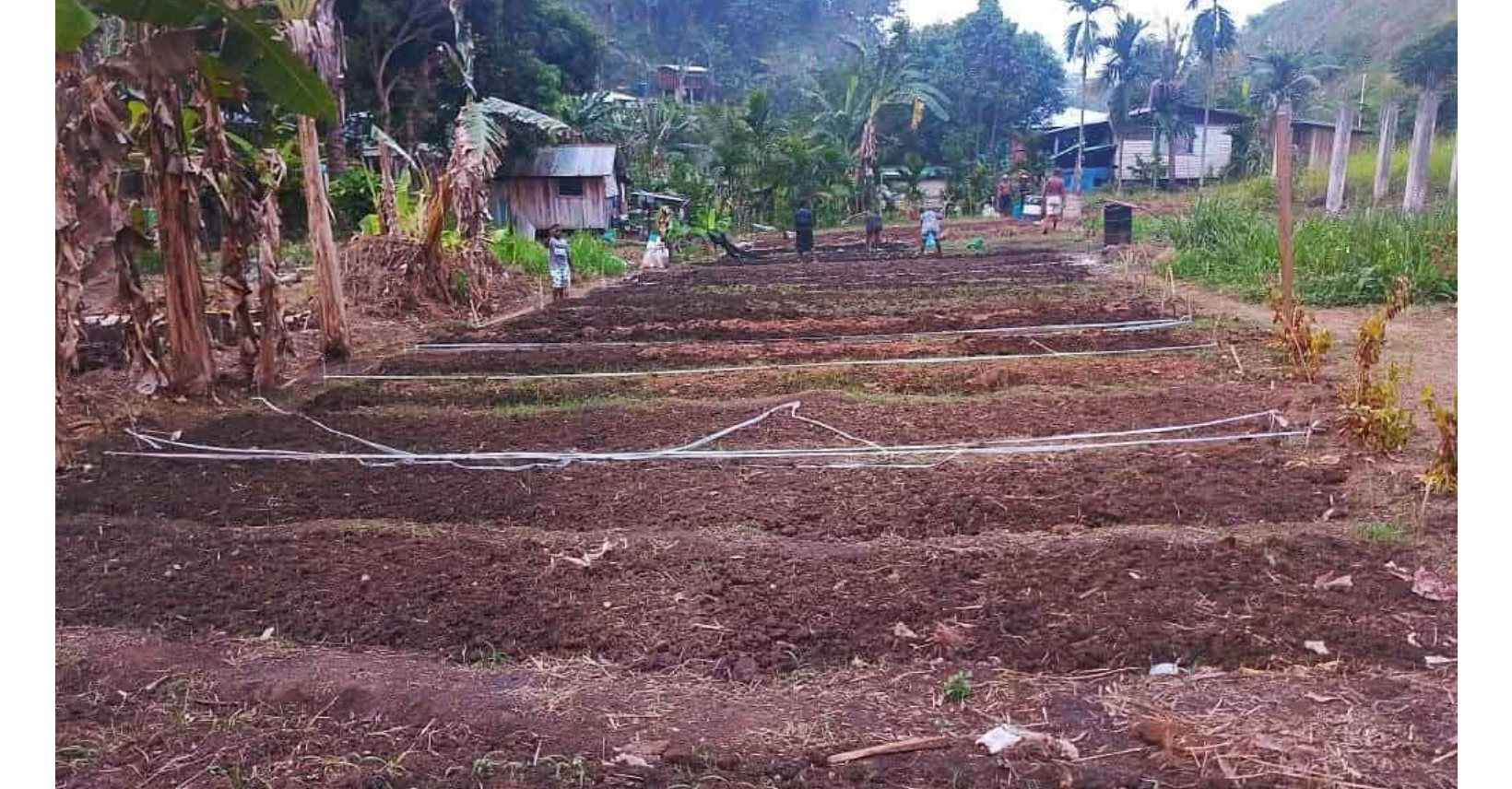 Australia’s small grant empowers Malaita youths