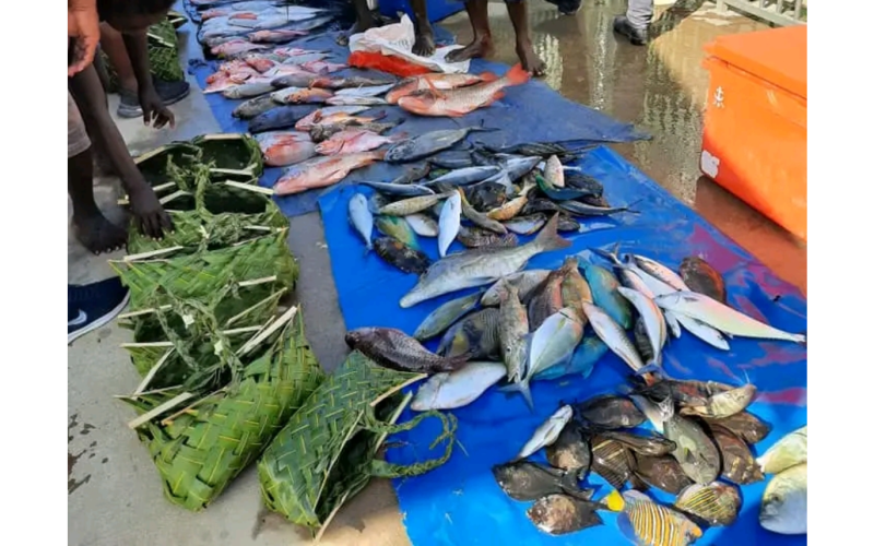SI amongst world’s top fish consumers