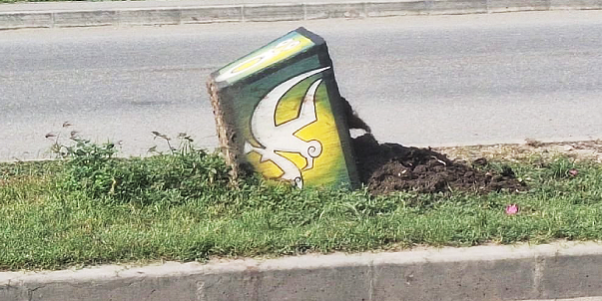 One of the concrete pot plants that was vandalised.