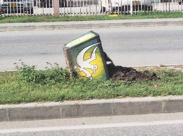 More flowers stolen, pot plants vandalised 