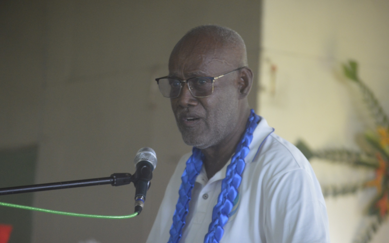 Calls to strengthen community governance and policing 