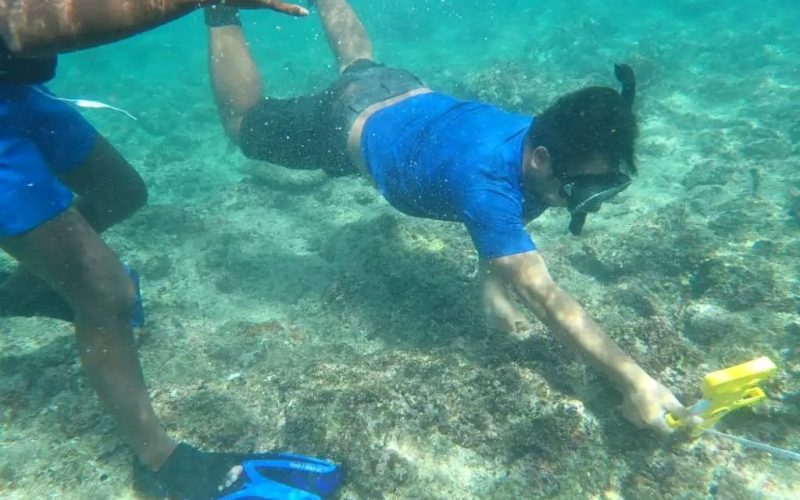 SINU students engage in coastal resource monitoring at Tiaro Bay