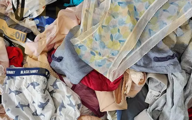 Duo nabbed over undies’ theft