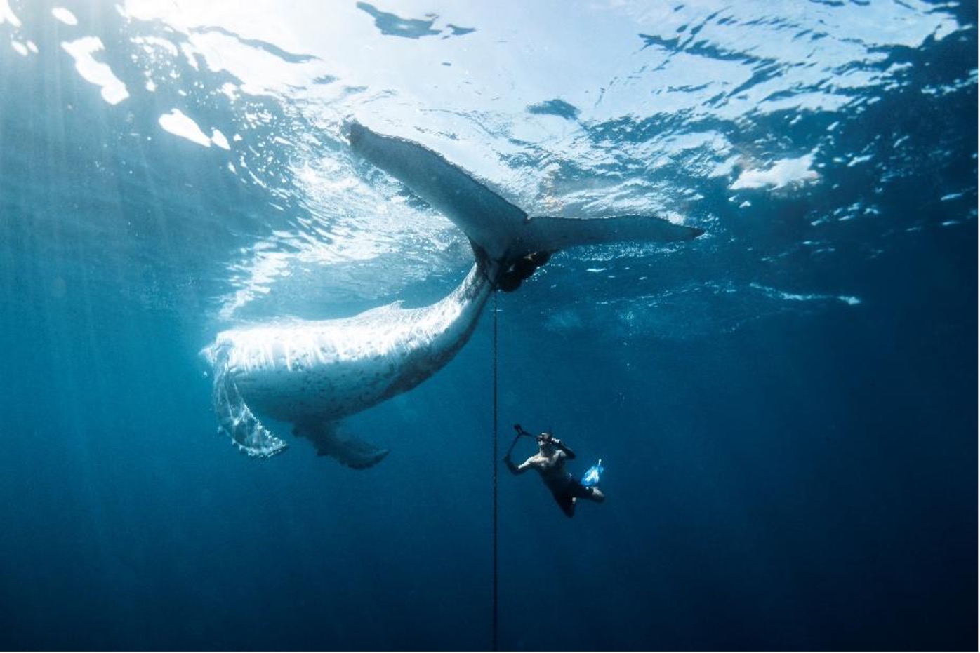 Solomon Islands photographers crowned winners in The Nature Conservancy’s 2025 Oceania Photo Contest