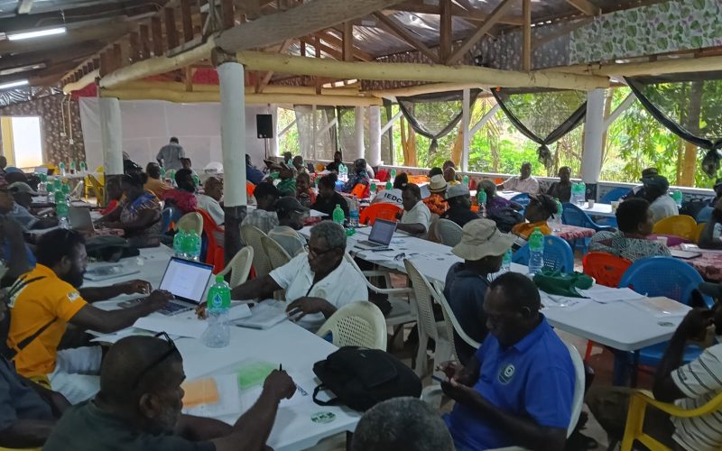 Climate change adaptation the focus of WDC Planning workshop