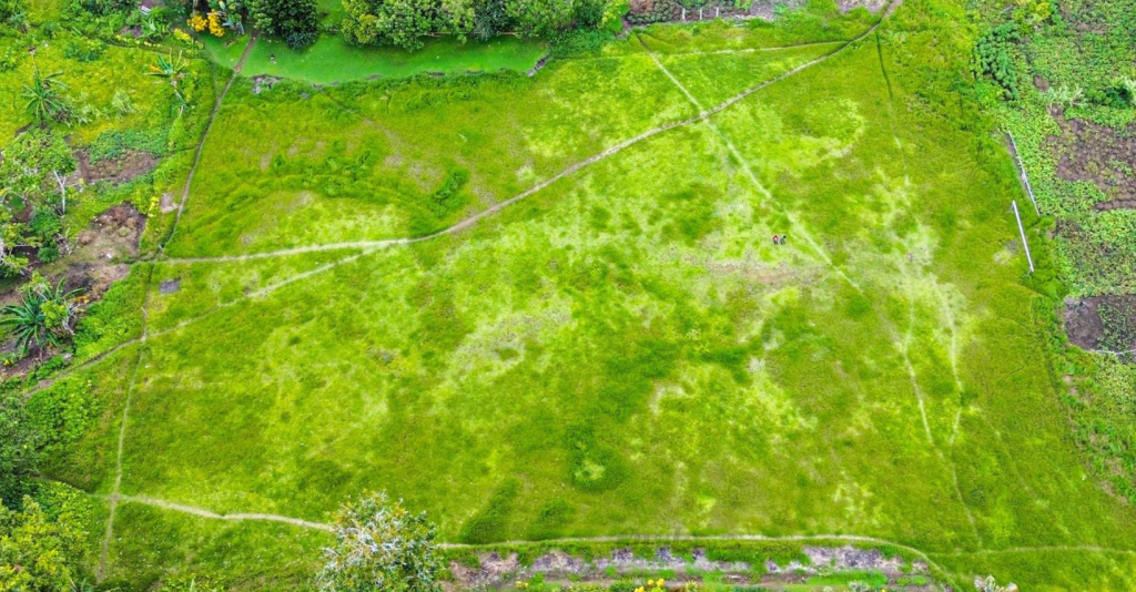 Patu to stage sports competition for school project – Solomon Star News