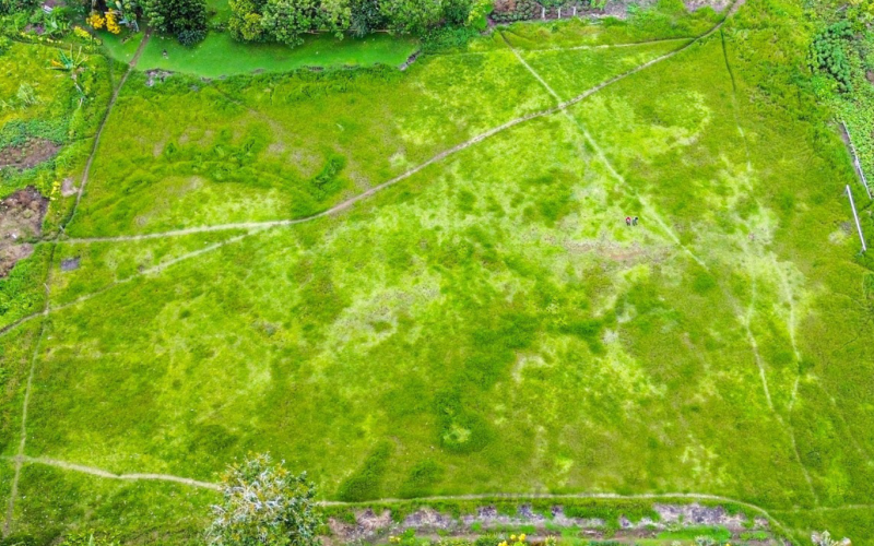 Patu to stage sports competition for school project