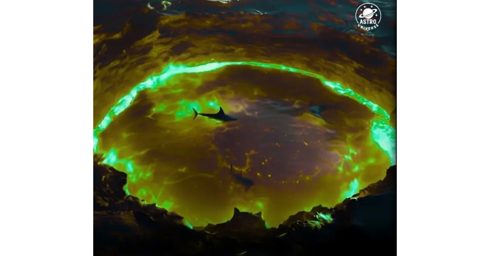 Sharks Spotted Inside Active Kavachi Volcano Crater – Solomon Star News