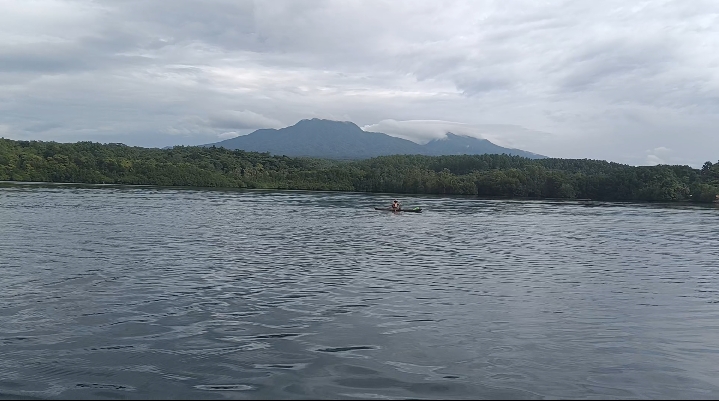 Man hospitalised after crocodile attack