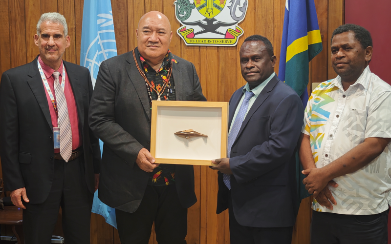 WHO DG commends govt commitment to strengthen health systems