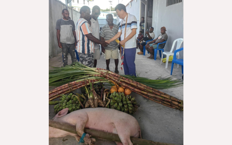 SINO Oceania reconciles with Losi