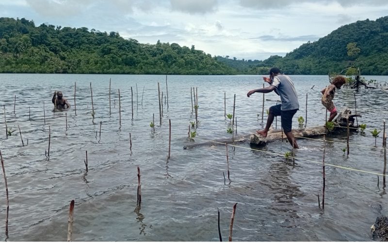 WVSI strengthens climate resilience in Central Is Pro