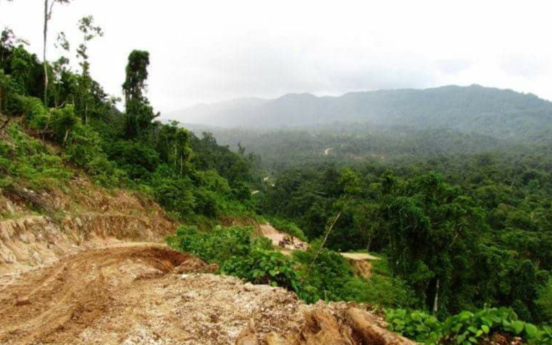 Man dies in Rendova during vehicle accident