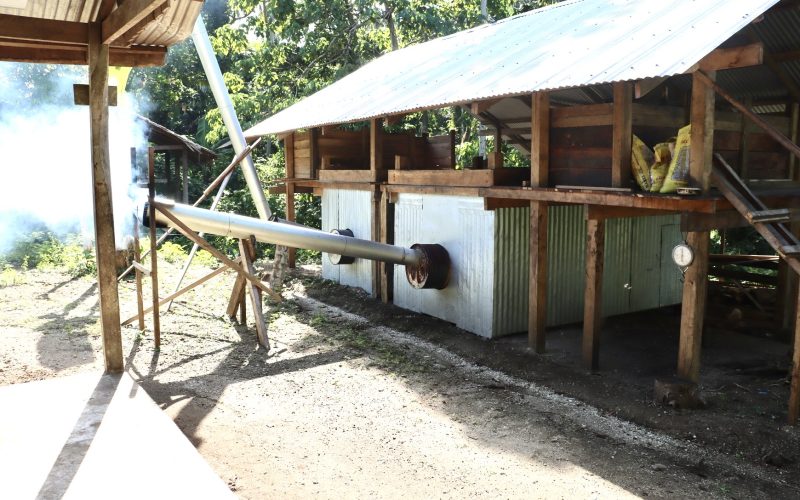 Investing in cocoa for brighter future