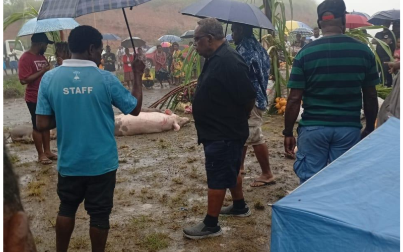 Garavu tribe presents chupu to Chief Naezon in reconciliation ceremony