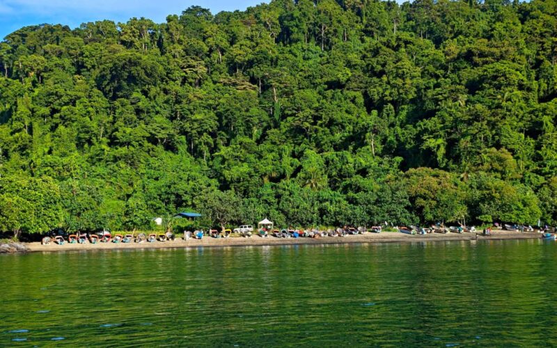 High Demand For Fresh Fish From Shortland’s at Kangu Beach Market