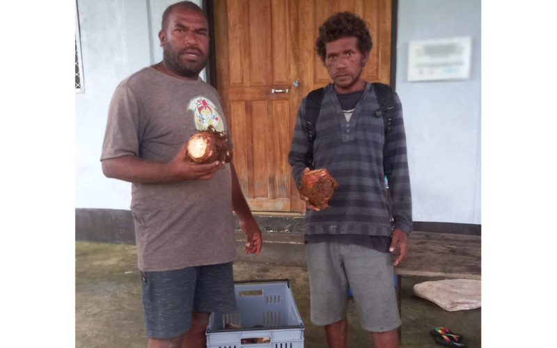 Goshen Enterprise boosts local economy with taro buying centre