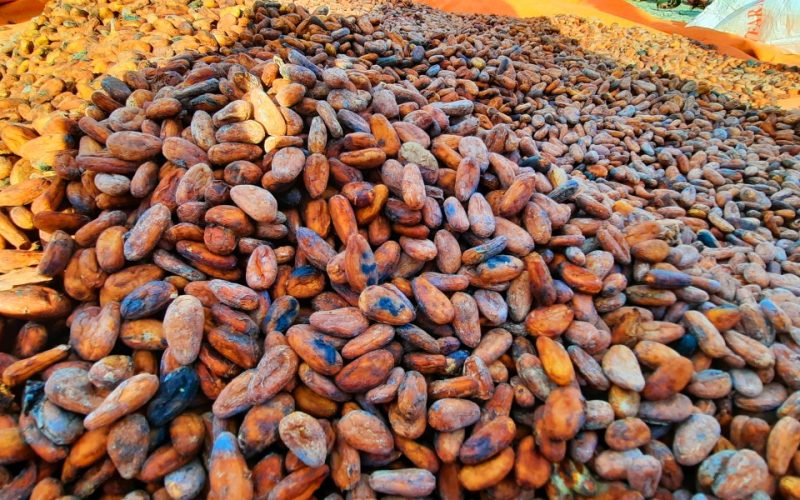 SICCI Notes Concerns Raised on CEMA Fee Increase