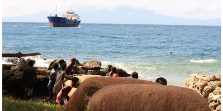 Copra Price Drop Affects Rural Farmers In Western Province