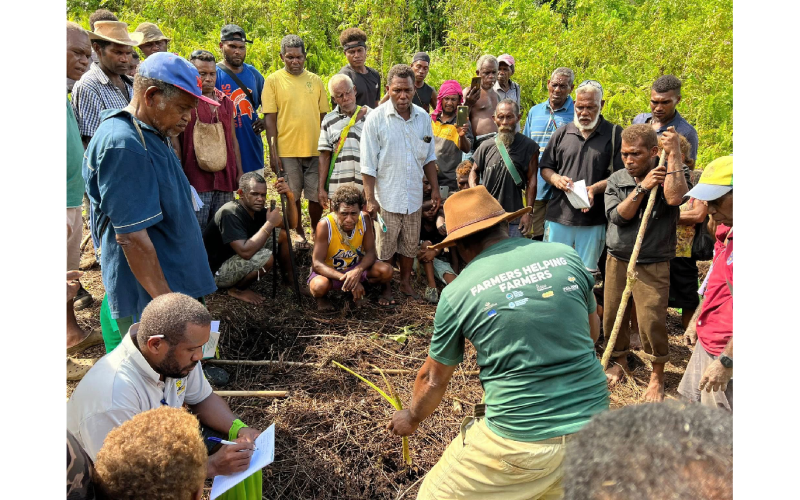 Gwaunafiu Organic Farmers School in Malaita Conducts Training