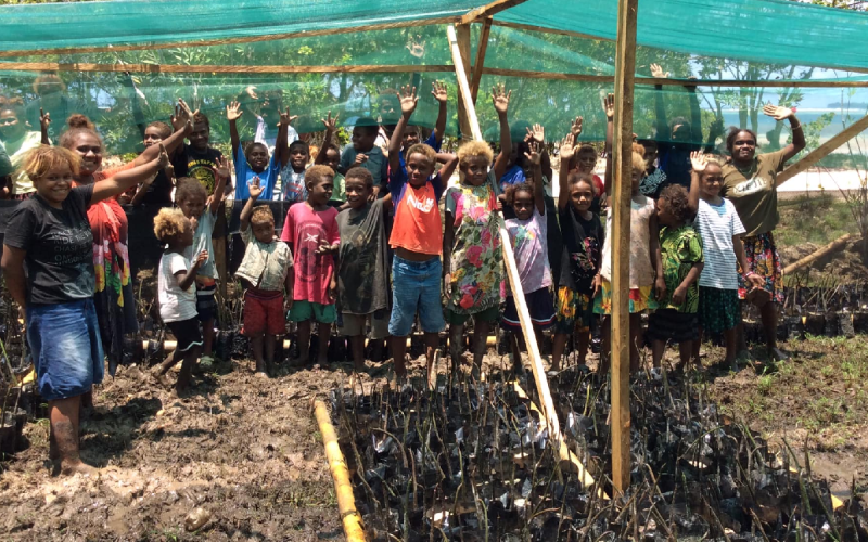 Mangrove Restoration Project In North Malaita