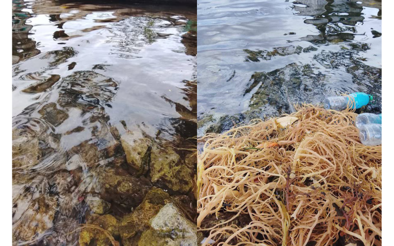 Oil spill threatens seaweed farms in West Are’Are