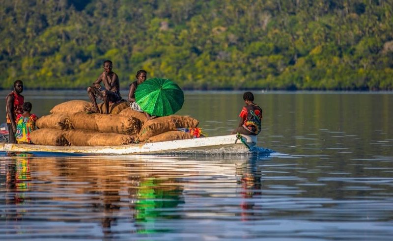 Big Shift For Copra Farmers In Shortlands, Western Province