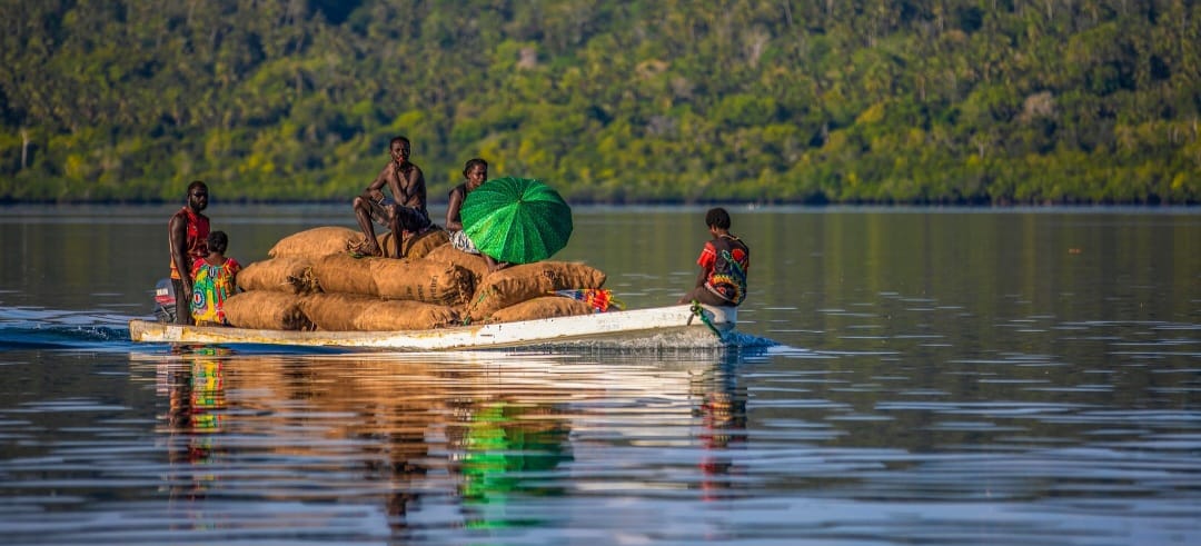 Big Shift For Copra Farmers In Shortlands, Western Province