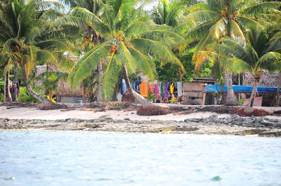 Five Arrested Over Fatal Incident on Lord Howe Island