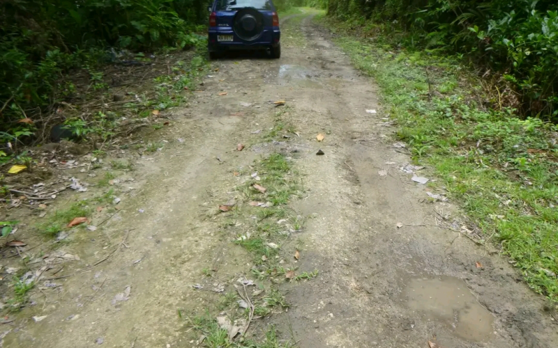 CPG Calls For Removal Of Unplanned Structures