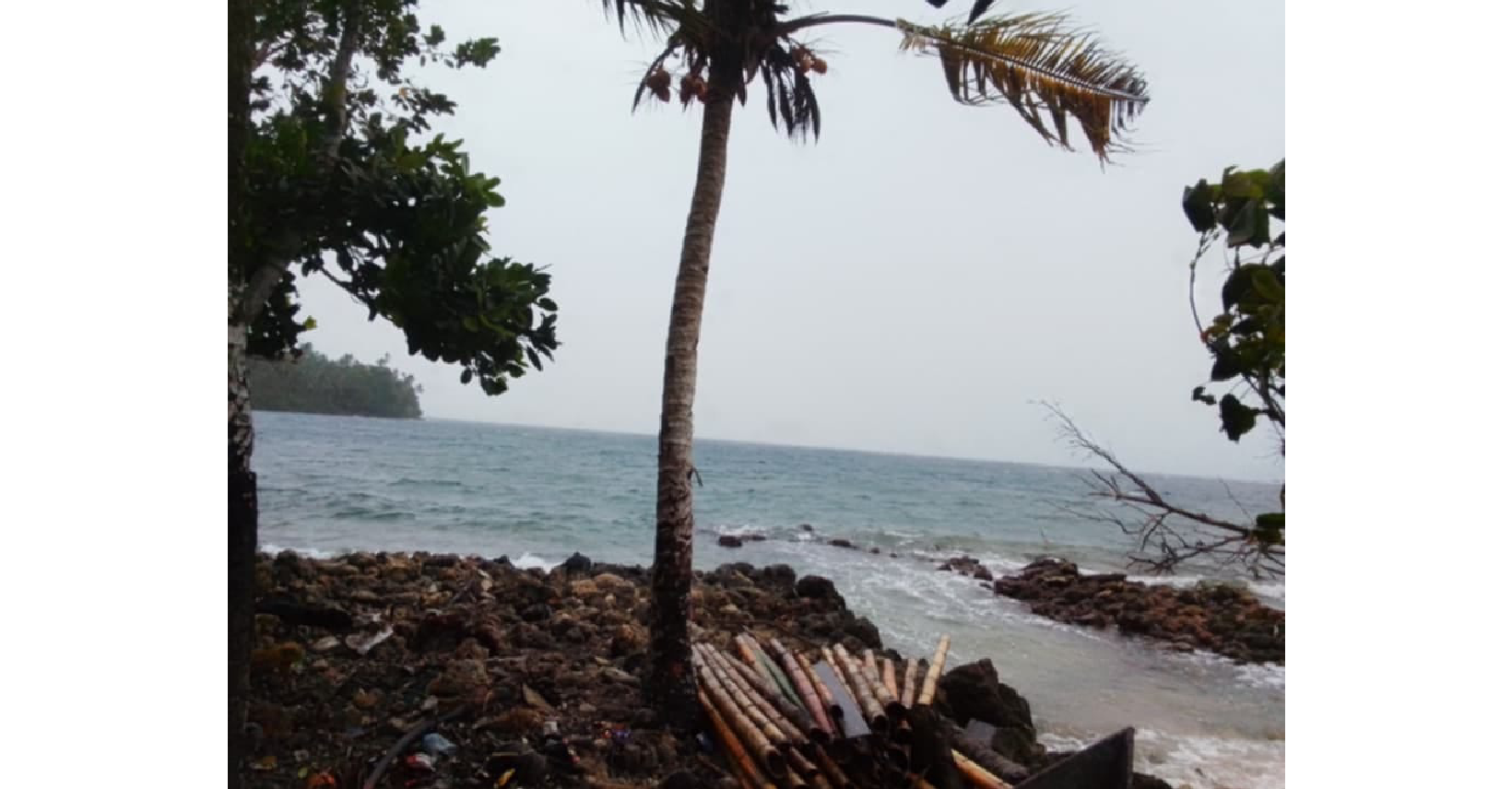 Tropical low intensify